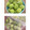しゅい6's cooksnap of when they made 冷凍キウイ.