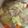 R2016's cooksnap of when they made 塩麹で簡単ポトフ.