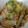 onionhime's cooksnap of when they made 絶品！白菜のたぬき煮びたし（お弁当用）.
