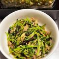 ♡みぃママ♡'s cooksnap of when they made 簡単・即席☆豆苗のツナ塩昆布炒め.