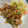 うさこママ★'s cooksnap of when they made 切り干し大根とサバ缶の煮物.