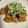 かんじきんぐ's cooksnap of when they made 簡単♫ご飯が進む✿鶏むね肉の甘酢醤油煮✿.
