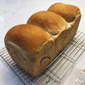 MaddyLilly's cooksnap of when they made 全粒粉のリッチパン(食パン).