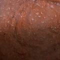 やかわみ's cooksnap of when they made 万能！トルコの発酵調味料サルチャ.