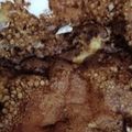 kkll0000's cooksnap of when they made 生クリームたっぷりフルーツクレープ.