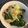 kokoli's cooksnap of when they made チンゲン菜のおひたしツナ和え.