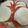 toshio39's cooksnap of when they made トマトとモッツァレラの簡単カプレーゼ.