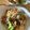 monemaruku's cooksnap of when they made 残ったアヒージョで簡単パスタ.