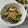 みちゃこmisako's cooksnap of when they made 作り置き、きゅうり、ツナの胡麻和え.
