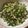 クックGTTF6S☆'s cooksnap of when they made 大根菜とツナの塩昆布ふりかけ.