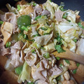 rikoko17's cooksnap of when they made 厚揚げたっぷり♪お肉100ｇの回鍋肉.