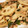 クックISTY6U☆'s cooksnap of when they made れんこんとツナのしそ炒め.