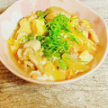 さくらん餅's cooksnap of when they made 鶏もも肉と厚揚げの卵とじ.