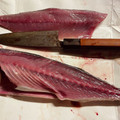 ももいろふらみんご's cooksnap of when they made 肴鯖鯵鯛鰯鮭鮪鮨！魚の三枚おろしの基本！.