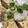 ティムル's cooksnap of when they made さっぱり焼き豆腐〜大根おろしとポン酢がけ.
