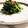 E吉☆'s cooksnap of when they made ◆玉ねぎといかの塩辛炒め♪おつまみレシピ.
