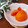 クックHG9V8Y☆'s cooksnap of when they made 簡単・渋柿の渋抜き方法.