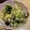 ポメちょん's cooksnap of when they made やみつき食感♪切り干し大根の中華サラダ.