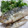 naocolin's cooksnap of when they made 豆アジの唐揚げ.