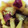 aizi0205's cooksnap of when they made さつまいも林檎のほっこり煮.