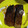 クック5NIPCB☆'s cooksnap of when they made 鰤の照り焼き　簡単母の味.