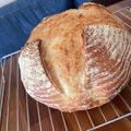 ♪まーむ's cooksnap of when they made 【ストウブで焼成】カンパーニュ.