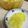 ＊＊ことり＊＊'s cooksnap of when they made 手作り”たくあん”.