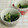 umemodoki's cooksnap of when they made ほうれん草とえのきのサッと和えおつまみ.