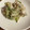 かんじきんぐ's cooksnap of when they made ◆鶏ささみと長ネギの大葉和え◆.