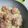 Aco0508's cooksnap of when they made しゅうまいと白菜のフライパン蒸し.