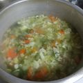 マキマキ913's cooksnap of when they made 鍋底まで＊野菜だらけスープ.