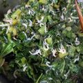 きみもも116's cooksnap of when they made 大根葉のふりかけ.