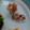 melmarilyn's cooksnap of when they made 桜の花の塩漬け天ぷら.