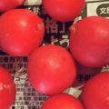 やっちーさん's cooksnap of when they made ラディッシュの保存方法.