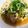 67luna's cooksnap of when they made 麺つゆで簡単！ほっこり美味しい朝のスープ.