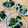 山ばあば's cooksnap of when they made えのきとほうれん草の和え物.