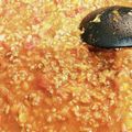 reracise's cooksnap of when they made 市販のカレールーでトマトドライカレー.
