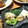 あず7225's cooksnap of when they made ☺簡単♪ブロッコリーのわさびマヨ和え☺.