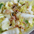 яiйgo's cooksnap of when they made 簡単！白菜と大根とツナ缶の塩昆布サラダ.