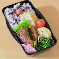 runa10's cooksnap of when they made お弁当・・・67梅干しとゆかり弁当.