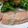 ☆ごはんできた☆'s cooksnap of when they made 鮭の蒸し焼き.