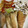 snow012's cooksnap of when they made 大根の塩こんぶ和え.