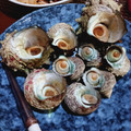 ひっこ's cooksnap of when they made サザエの下処理.