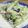 クックET0XKZ☆'s cooksnap of when they made 海老とターツァイのクリーム煮.