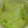 野菜ズッキーニ's cooksnap of when they made 中国の簡単おいしい家庭料理白菜の黒酢炒め.