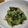 fu♪♪'s cooksnap of when they made 青梗菜とツナのポン酢和え.