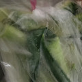 yikar1's cooksnap of when they made 長ネギしゃきしゃき保存法.