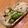 ☆ayumikan☆'s cooksnap of when they made 大根とキュウリの塩昆布あえ.