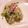 ももかんたママ's cooksnap of when they made シャキシャキが旨い!ヤーコンのナムル.