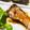 クックDGCFO3☆'s cooksnap of when they made 鰤のマヨ照り.